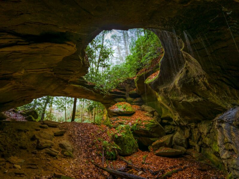 Red Byrd Arch